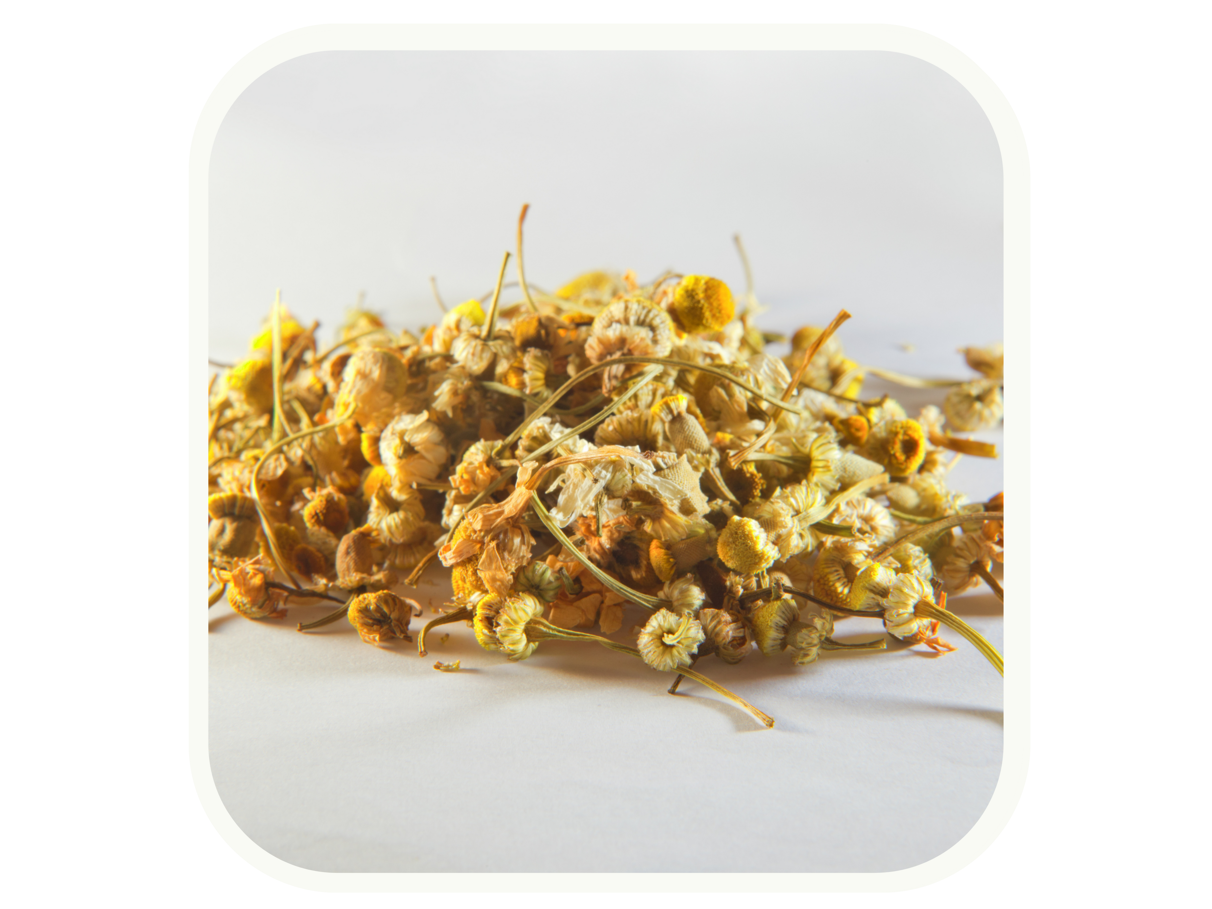 Pile of dried Chamomile Flowers