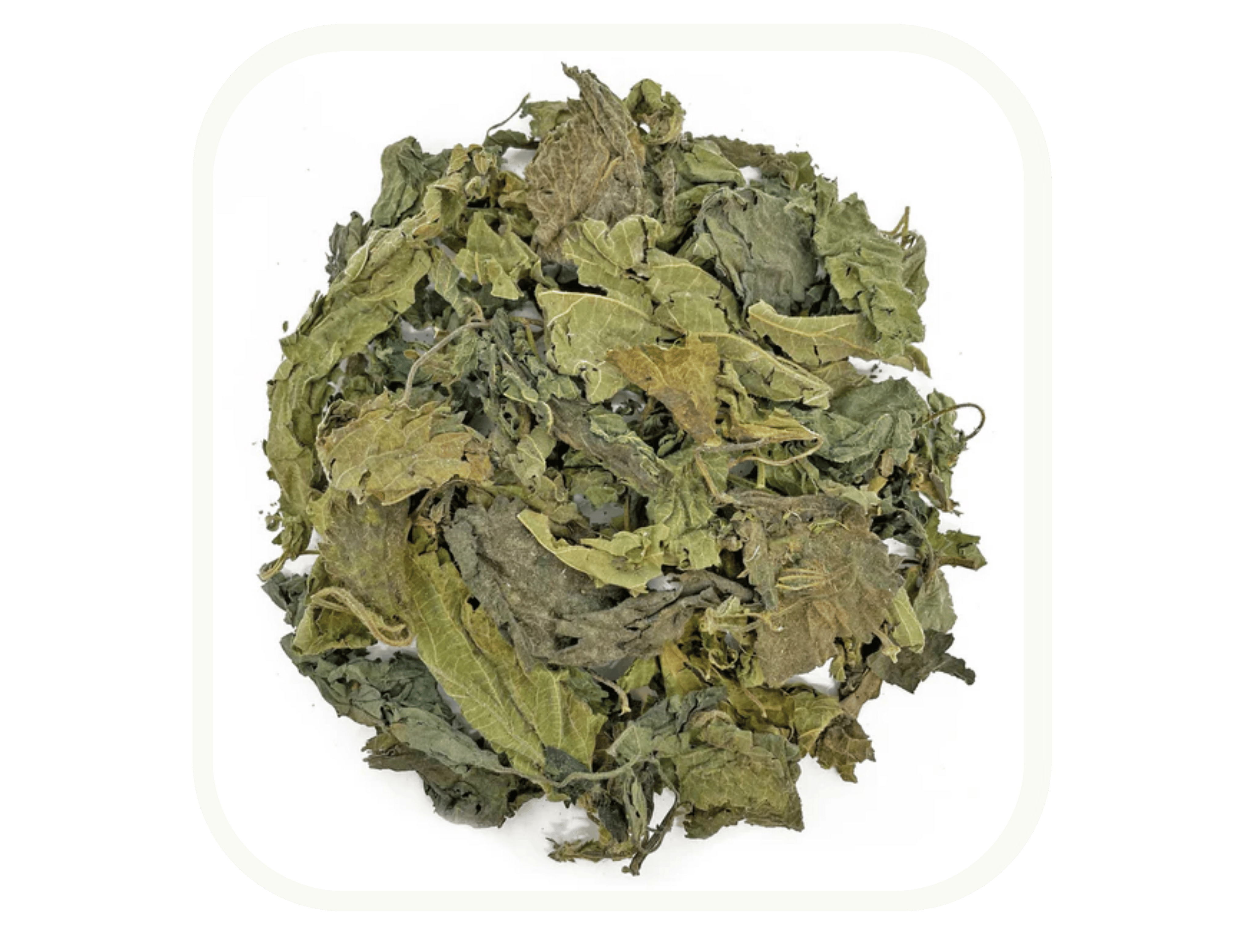 Pile of dried nettle leaves