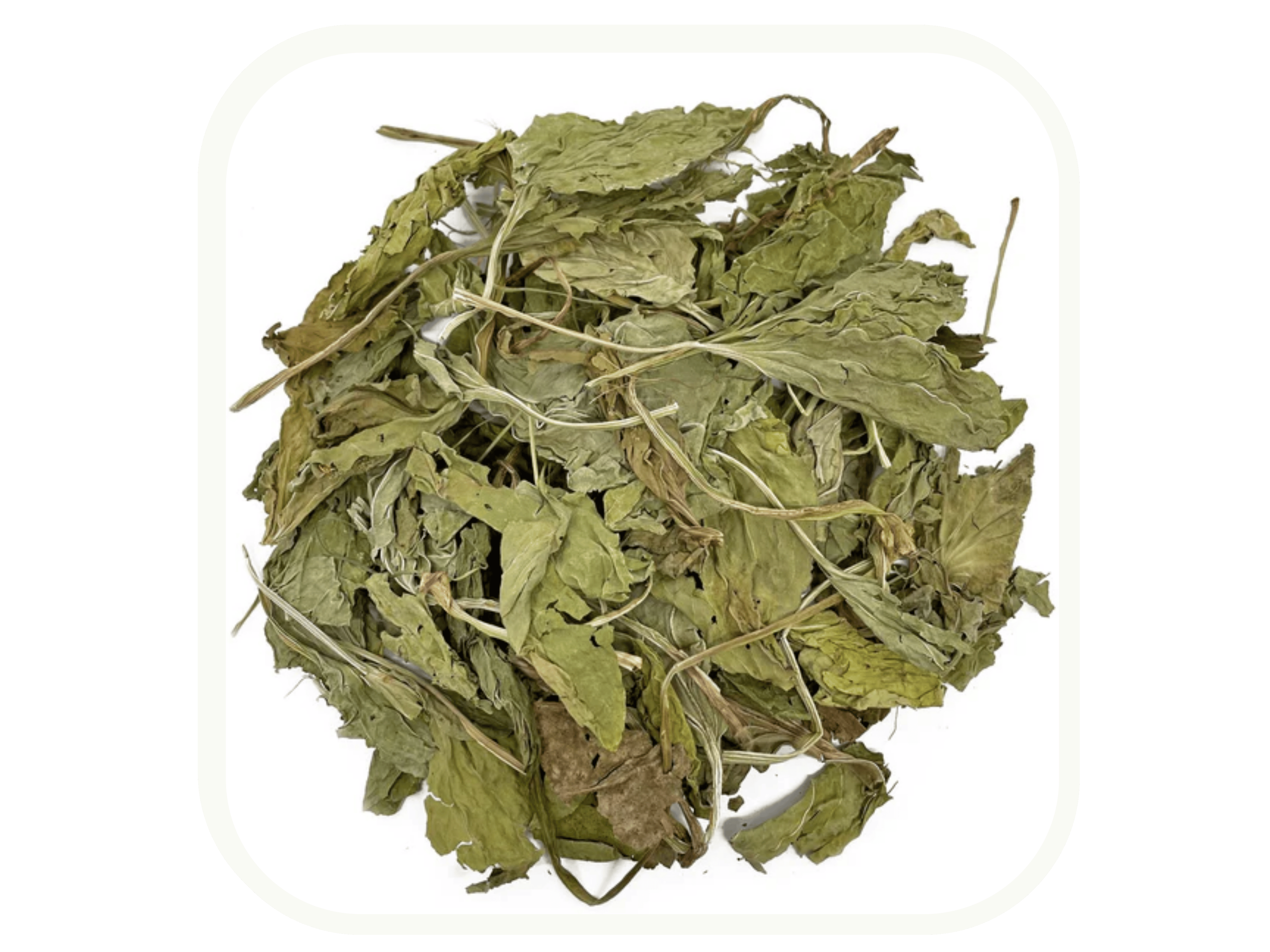 Dried plantain leaves