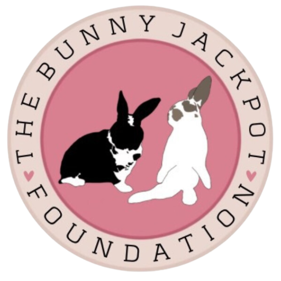 The Bunnyjackpot Foundation Logo