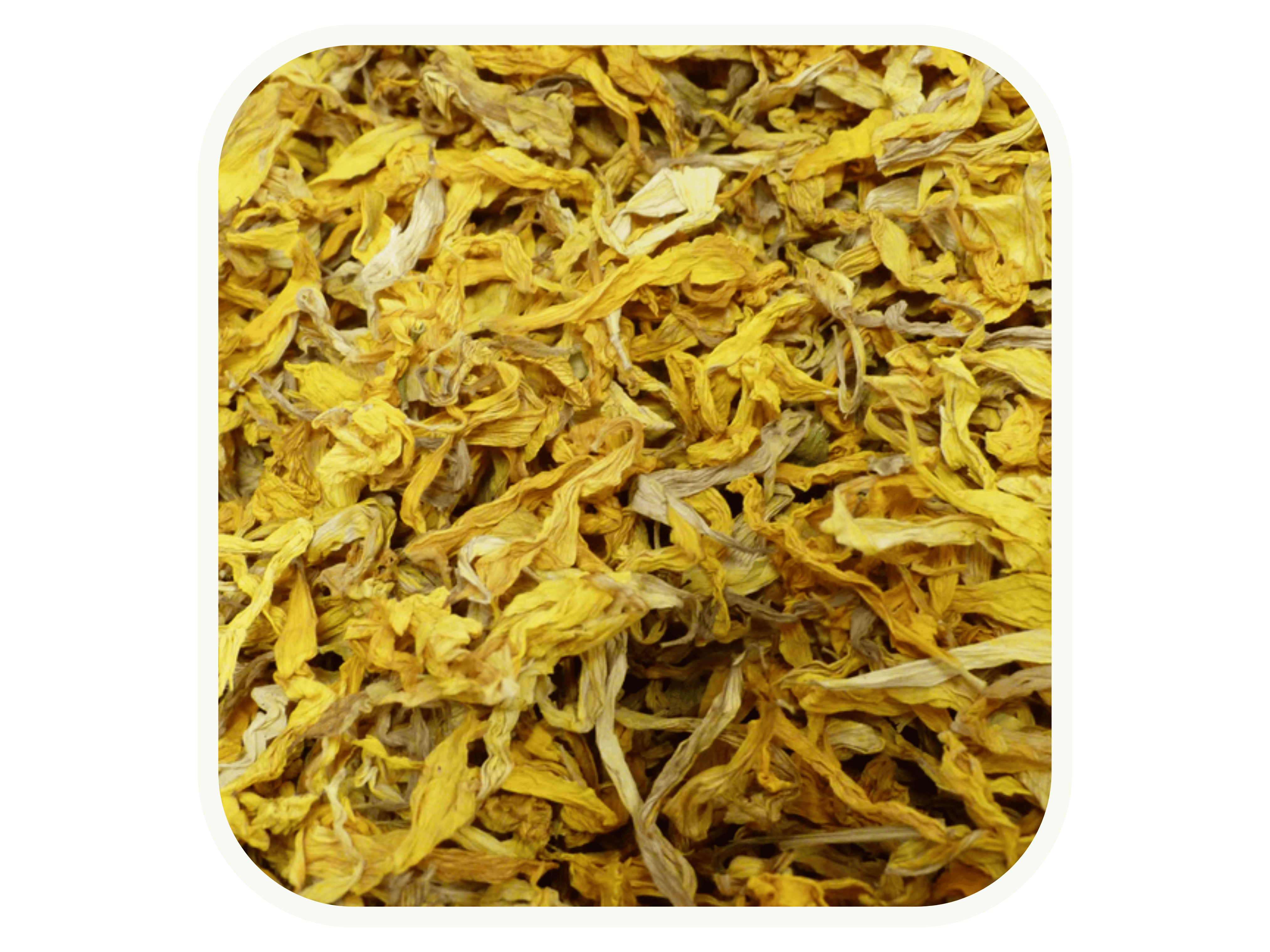 Pile of dried Sunflower Petals